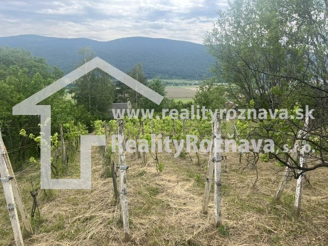 Vineyards near the cottage in Jablonov nad Turňou with a view of the mountains.