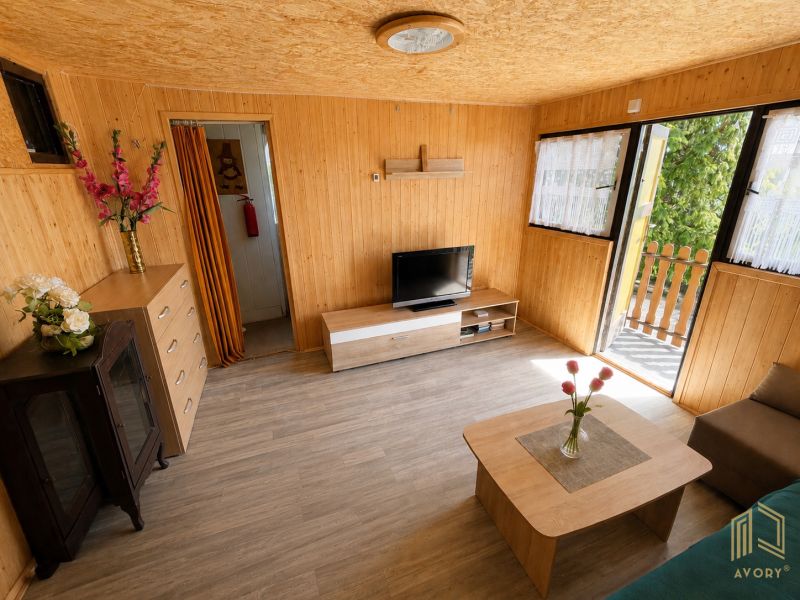 Interior of a cabin with wood-patterned flooring, TV, sofa, flowers, and cabinets.