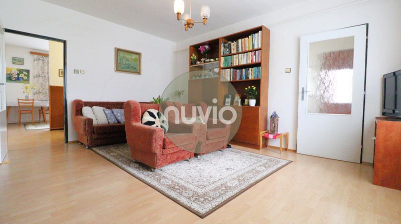 Living room in a family house with comfortable armchairs, a carpet, and a bookshelf, floor with wooden decor.