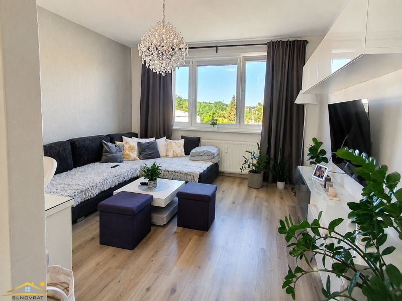 Living room in a two-room apartment with a sofa, television, and wooden decor flooring.