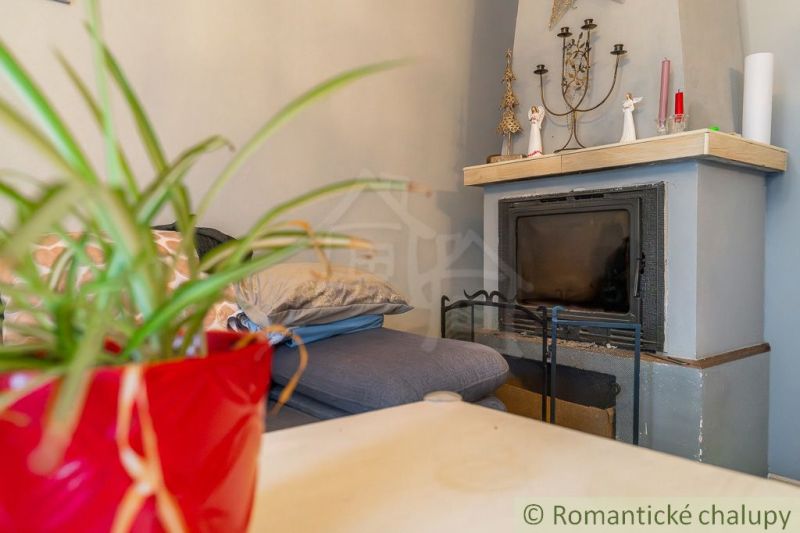 In the family house, there is a sofa, a fireplace, decorations, and a houseplant in a red pot.