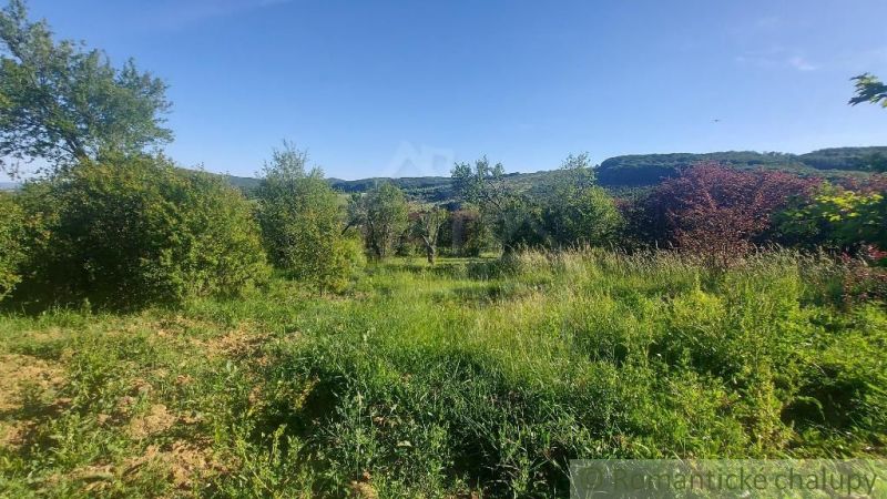Greenery, trees, and a grassy area in the gardens of Podkylava with mountains in the background.