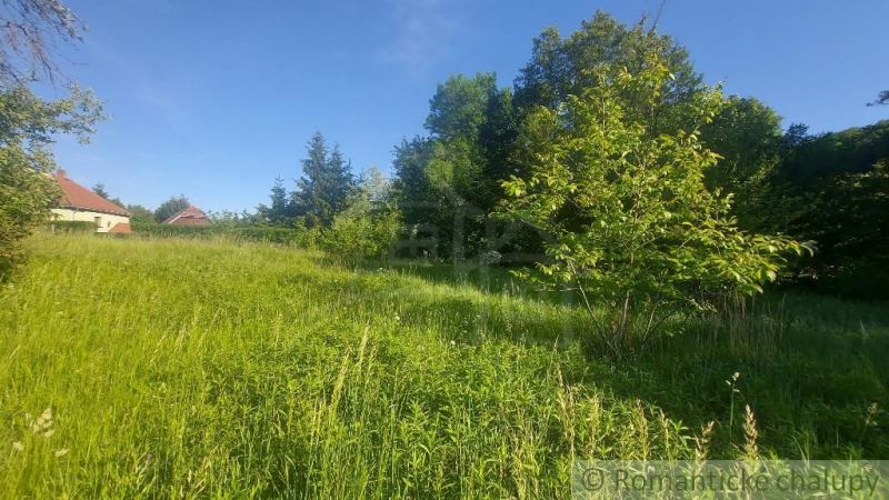 A green residential plot in Podkylava surrounded by trees and a blue sky.