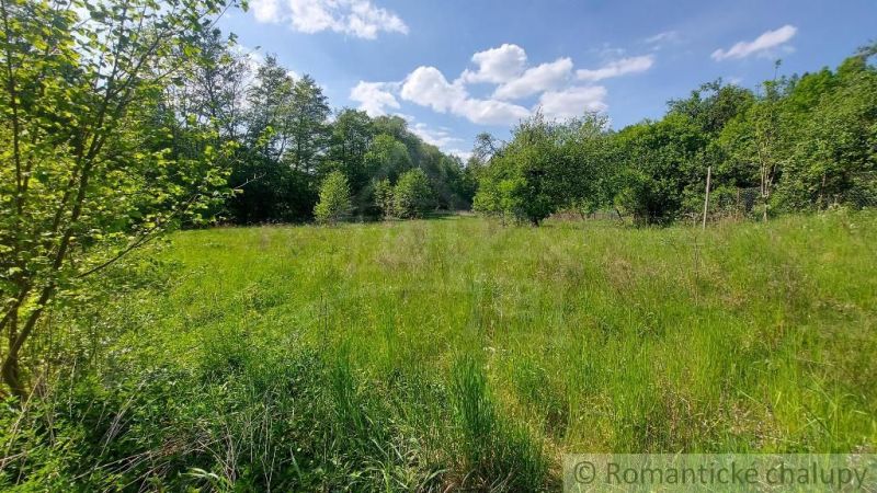 Greenery and trees on the plots - living in Podkylava with a blue sky.