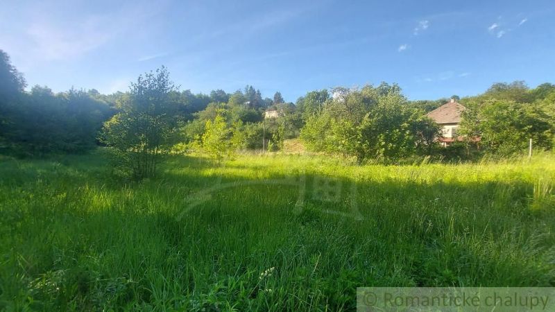 Plots - housing in Podkylava with extensive greenery and rural buildings.