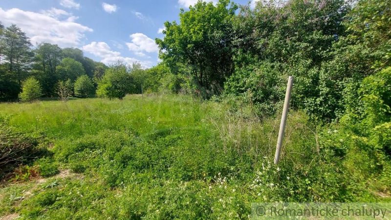 Greenery and trees on a plot in Podkylava, suitable for living.