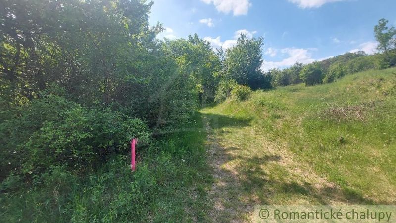 Path through green vegetation and meadow in Podkylava, Land - housing.