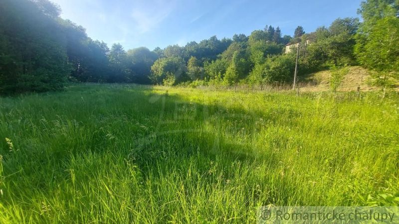 Green meadow surrounded by forest in Podkylava, ideal for residential plots.