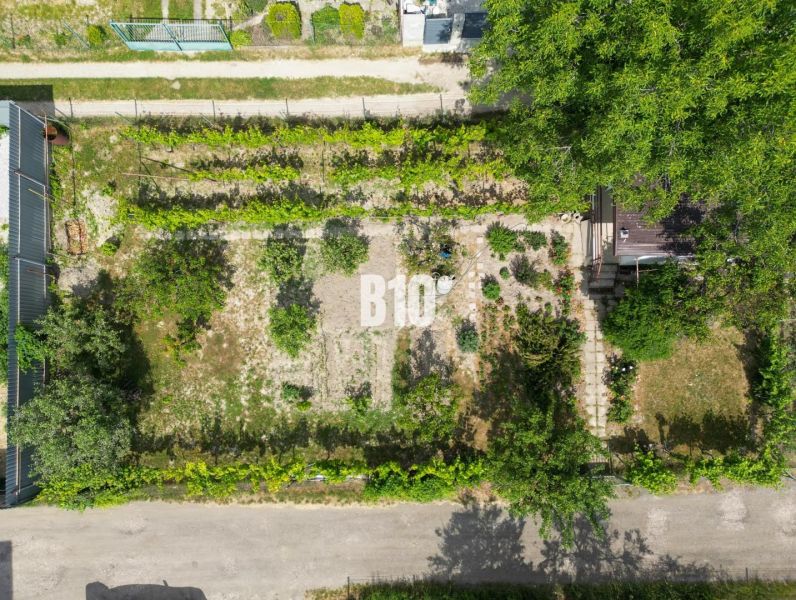 A view of gardens in Bratislava II with planted plants and trees.
