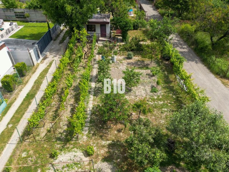 Gardens in Bratislava II with a vineyard, trees, and a shelter, surrounded by pathways.