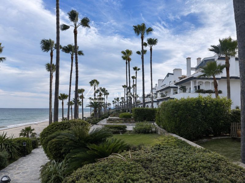 View of the beach and palm trees at Dominion Beach in Estepona.