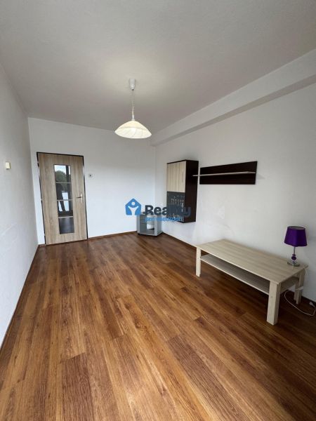 Living room in a two-room apartment with a wooden decor floor and white walls.