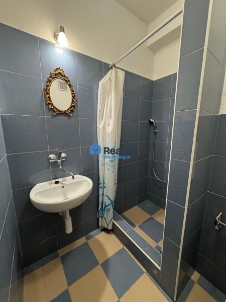 Bathroom in a 2-room apartment with a sink, mirror, and shower, blue tiles.