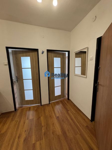 A hallway in a 2-room apartment with doors and flooring featuring a wood design.