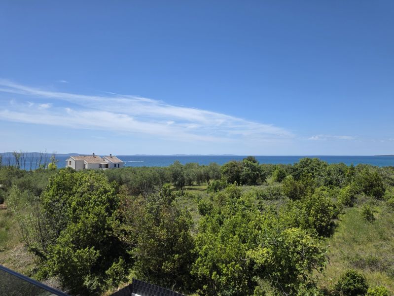 Greenery and a house with a sea view, Privlaka.