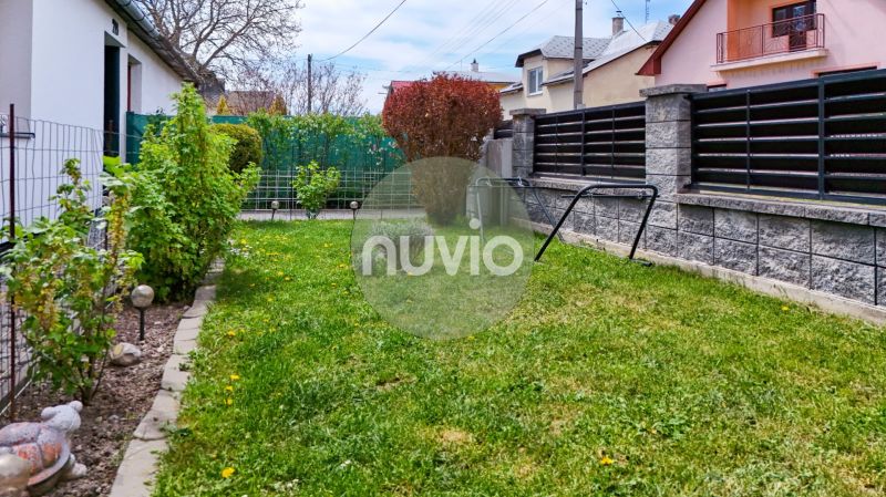The garden of a family house in Košťany nad Turcom, maintained lawn and ornamental shrubs.