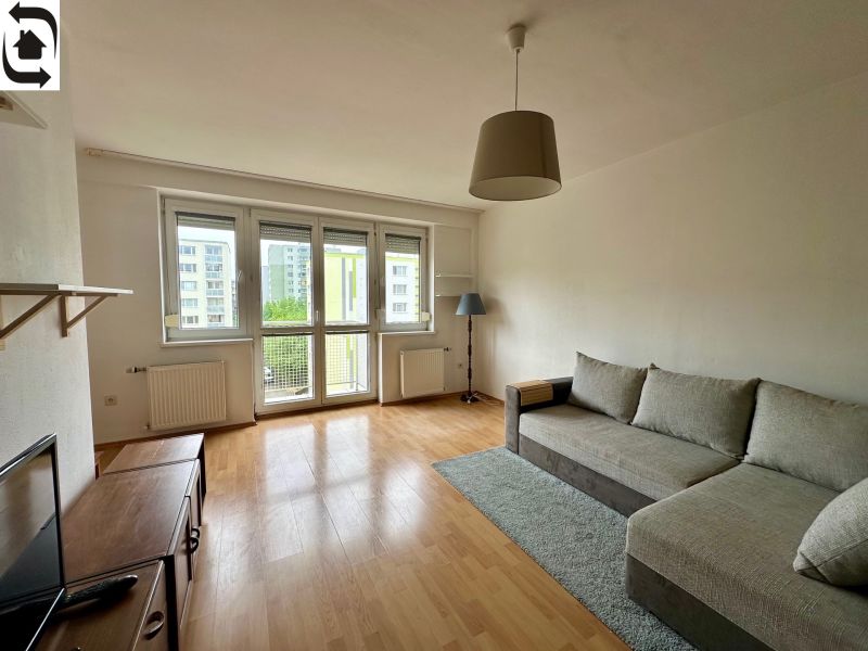 Living room with a sofa bed, wood-patterned flooring, and a television in a studio apartment.