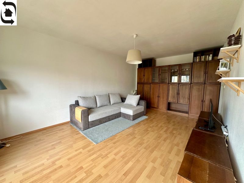 Living room in a one-bedroom apartment with a sofa, wooden wall unit, and floor with a wood decor.