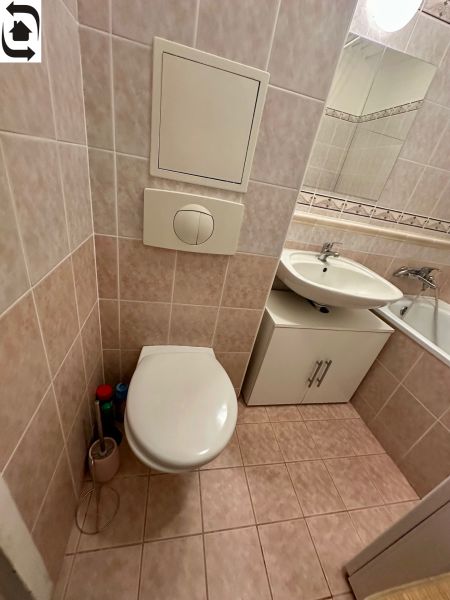 Bathroom with a toilet and a sink with storage space in a studio apartment.