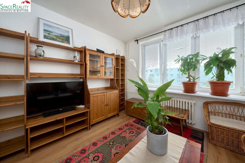 Living room in a two-room apartment with a wooden decor floor and houseplants.