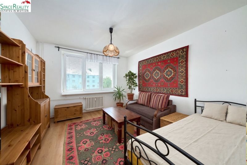 Living room in a two-room apartment with a wooden decor floor, oriental carpet, and furniture.