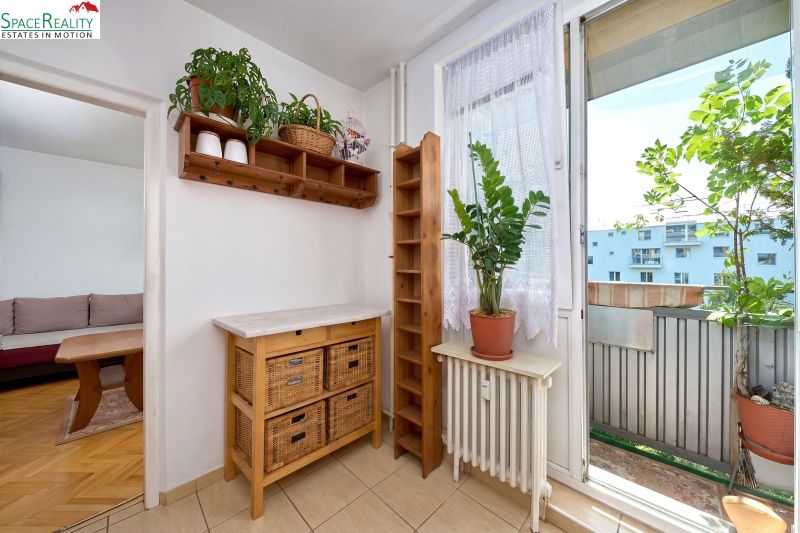 Interior of a 2-room apartment with wooden decor, plants, and access to a balcony.