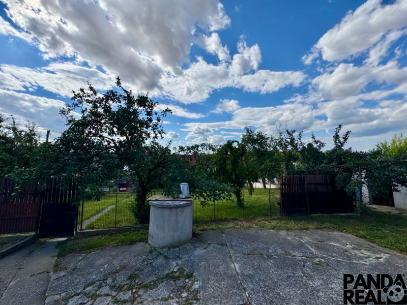 A garden at a family house in Horné Obdokovce, with a well and fruit trees.