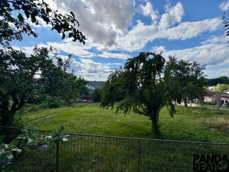 A garden with fruit trees near a family house in Horné Obdokovce under a blue sky.