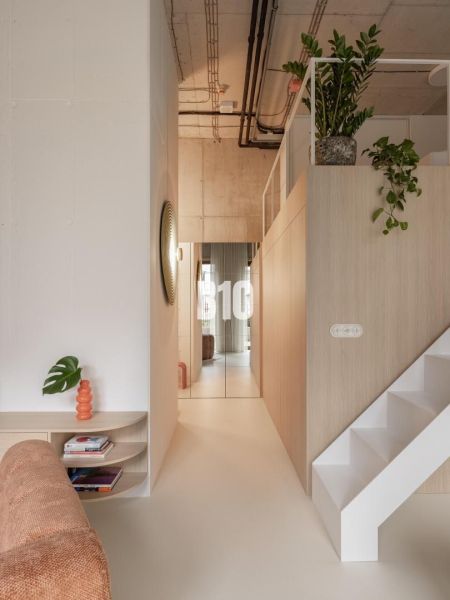 A minimalist interior of a 2-room apartment with white stairs and plants.