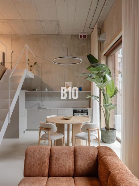 Interior of a 2-room apartment with a kitchen, living room, round table, and large plant.