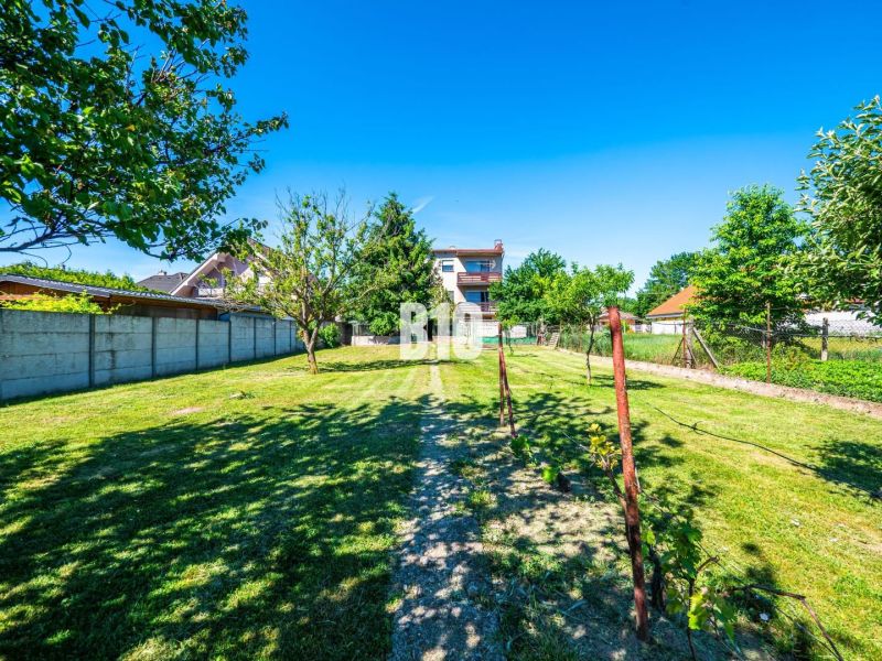 A garden at a family house in the town of Branč with fruit trees and a lawn.