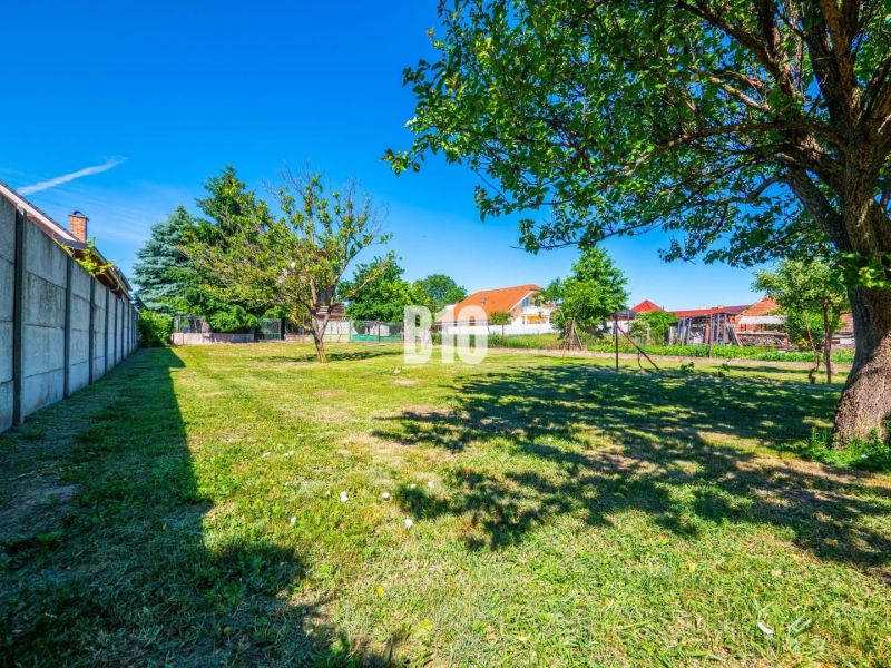 The garden of a family house in Branč with a lawn and trees.