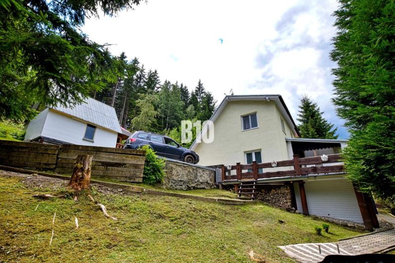 A cottage in nature in Olešná, surrounded by coniferous trees and lush lawn.