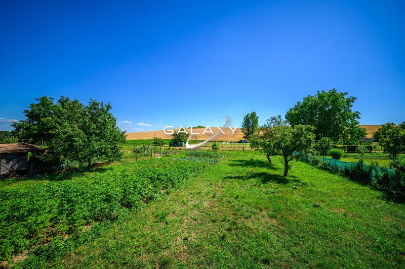 A garden at a family house in Stará Bašta surrounded by greenery and fruit trees.