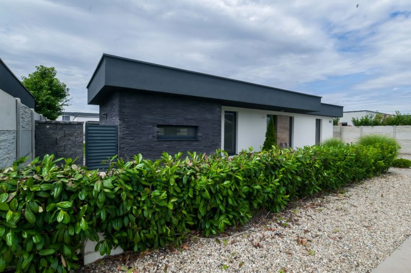 A family house in Košúty with stone cladding, a landscaped garden, and a hedge.