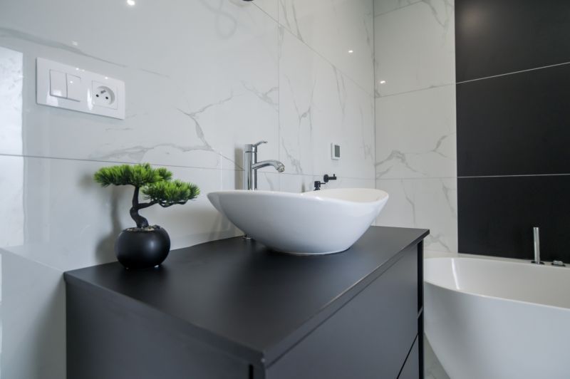 Bathroom of a family house with a sink, bonsai, and modern equipment.