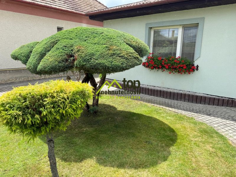 A well-maintained garden of a family house in Chrabrany with an ornamental tree and flowers by the window.