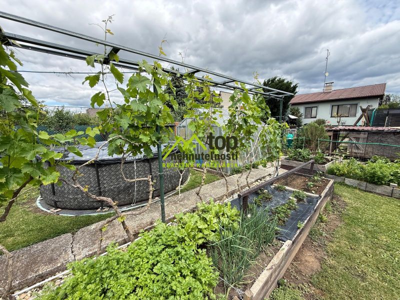A family house in Chrabrany with a swimming pool, garden, and vine on a pergola.