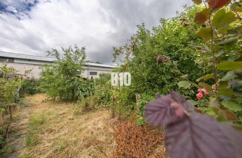 The garden at the house on Družstevná in Malinovo with lush greenery and trees.