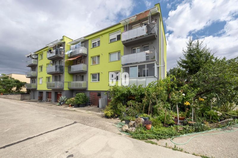 Green apartment building with a garden on Družstevná Street in Malinovo.