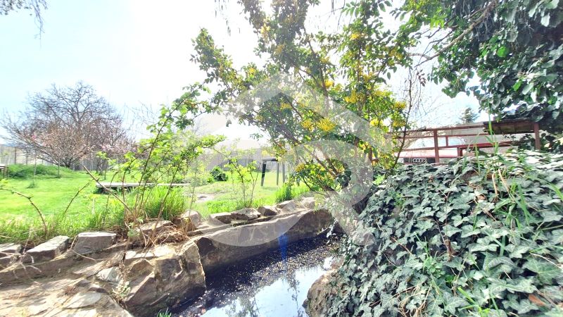 Garden in a family house on Štúrova Street in Ludanice with a pond and greenery.