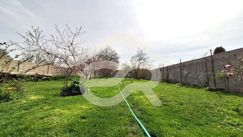 Garden at the family house on Štúrova Street in Ludanice with a lawn and trees.