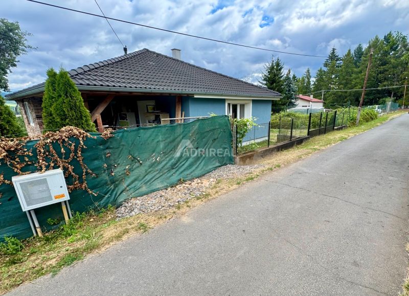 A family house in Ružiná with a blue facade, fencing, and surrounding greenery.