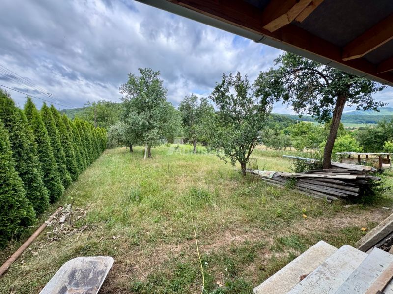 The garden of a family house in Ružiná with fruit trees and a hedge.