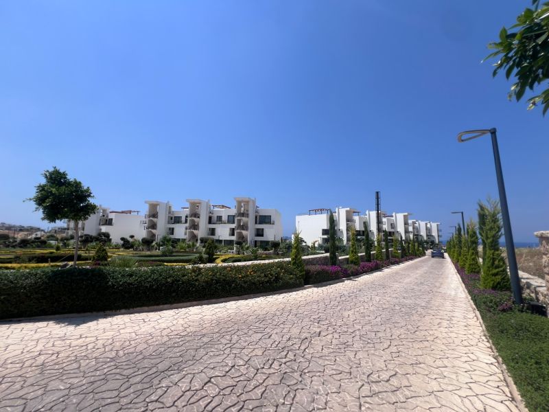 Residential buildings in Agia Eirini are lined with manicured greenery and a paved path.