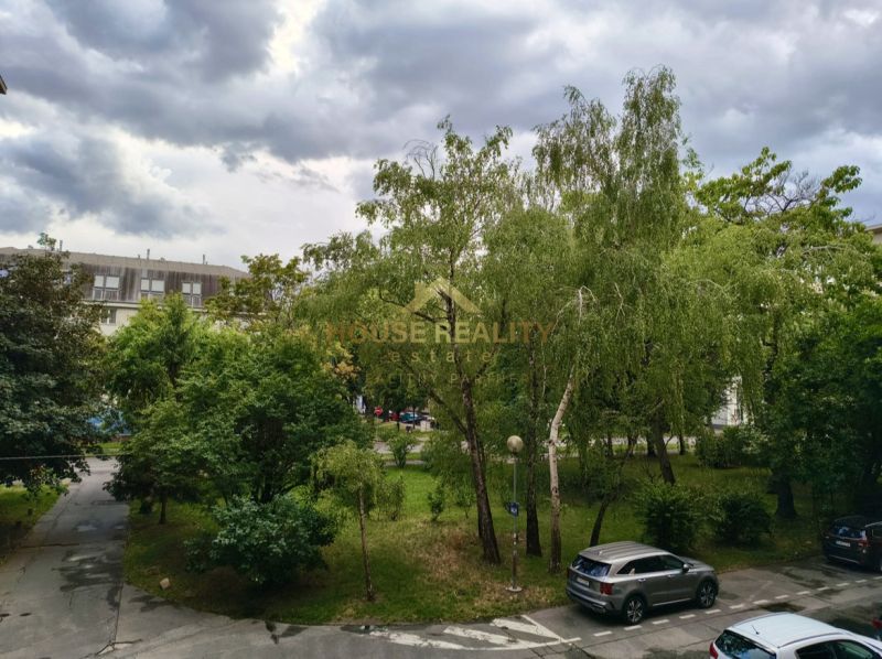 Trees and parked cars on Miletičova Street in Bratislava, Ružinov, under a cloudy sky.