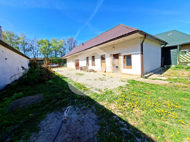 Family house in Tehla, Brick with a gravel area and lawn with dandelions.
