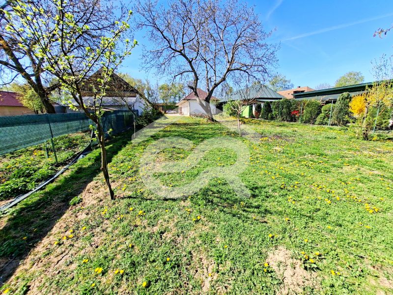 The garden of a family house in Tehla with a lawn and trees on a sunny street in Tehla.