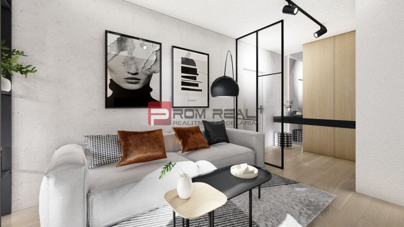 Living room in a two-room apartment with a sofa and art paintings on the wall.