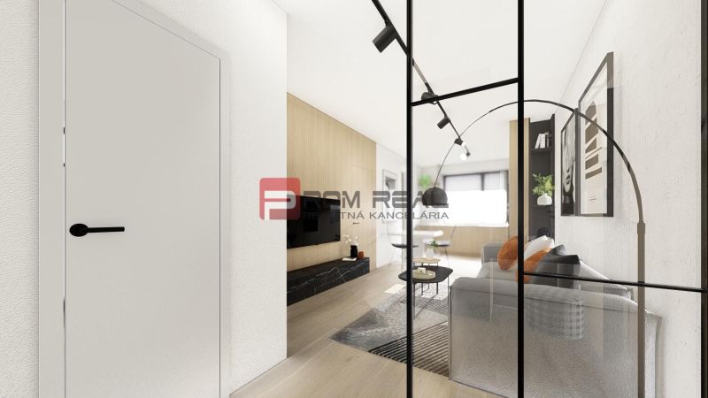 2-room apartment with wood-patterned flooring, view of the living room and kitchen.